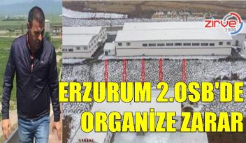 DEVLET 11 MİLYON LİRA ZARARDA