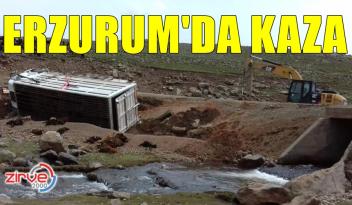 50 KOYUN TELEF OLDU