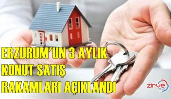 3 aylık rakamlar iyi