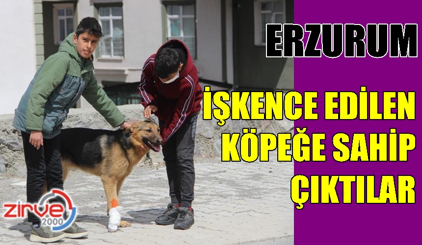 İşkence edilen köpeğe çocuklar sahip çıktı