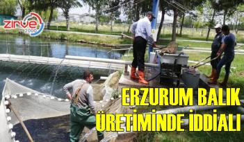 Denizi olmayan Erzurum’dan balık üretimi
