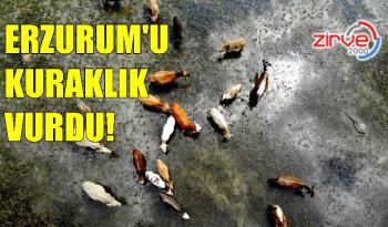 ERZURUM’U KURAKLIK VURDU