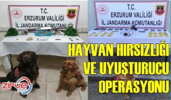 6 KİŞİ TUTUKLANDI