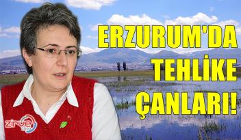 İKLİM EYLEM PLANI HAZIR