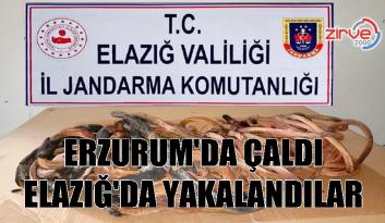 KABLO HIRSIZLARI YAKALANDI