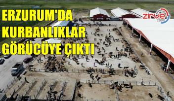 Doğuda kurbanlıklar görücüye çıktı