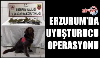 JANDARMADAN UYUŞTURUCU OPERASYONU