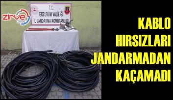 Kablo hırsızları jandarmadan kaçamadı