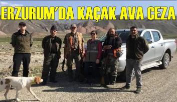 Kaçak avlanan avcılara ceza kesiliyor