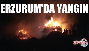 Erzurum’da alevler geceyi aydınlattı