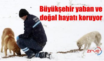 Büyükşehir yaban ve doğal hayatı koruyor