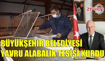 YAVRU ALABALIK TESİSİ KURULDU