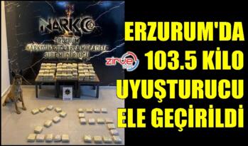 ARAMA KÖPEĞİ ERİS BULDU