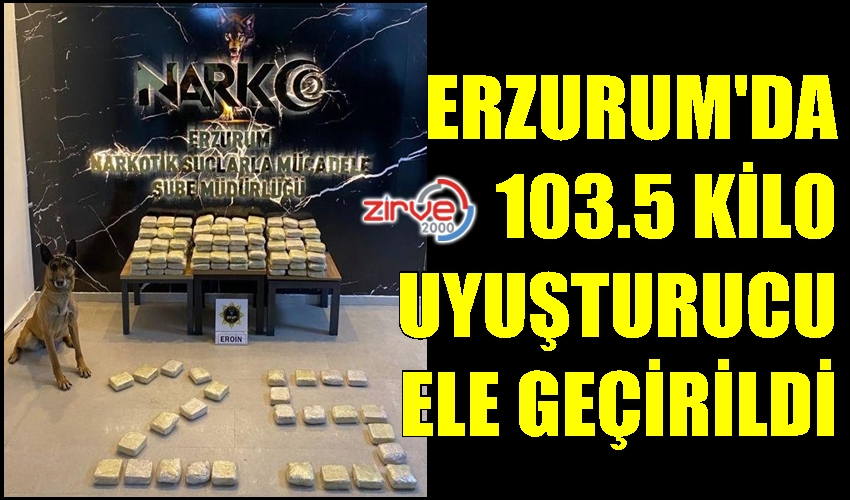 ARAMA KÖPEĞİ ERİS BULDU