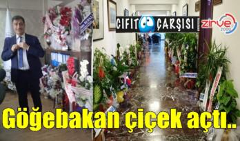 Göğebakan çiçek açtı..