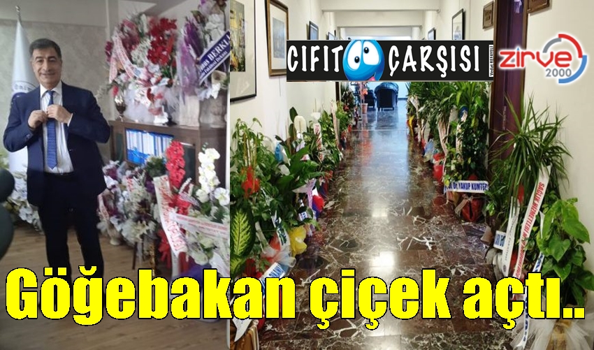 Göğebakan çiçek açtı..