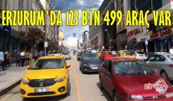 BİN KİŞİYE 163 ARAÇ DÜŞÜYOR