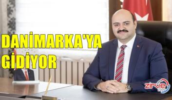 DANİMARKA YOLCUSU