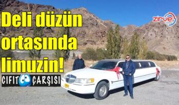 Deli düzün ortasında limuzin!