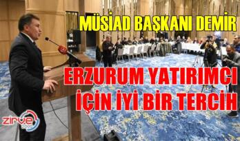 DEMİR: BATI YATIRIMA DOYDU