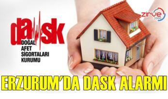 İŞTE DASKLI KONUT SAYISI