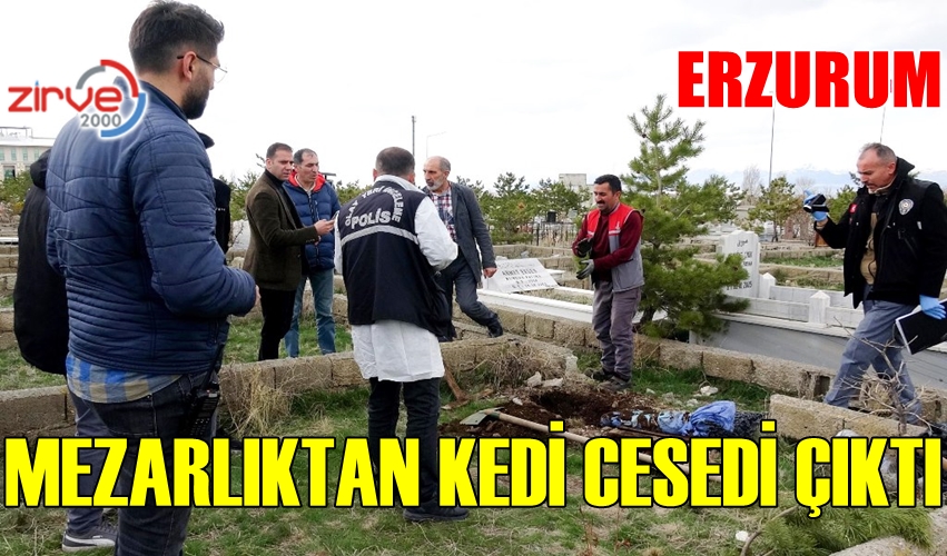 BEBEK SANDILAR KEDİ ÇIKTI