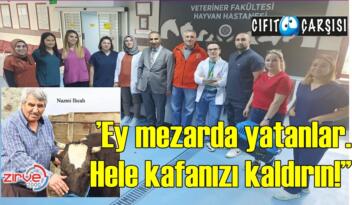 ‘’Ey mezarda yatanlar. Hele kafanızı kaldırın!’’