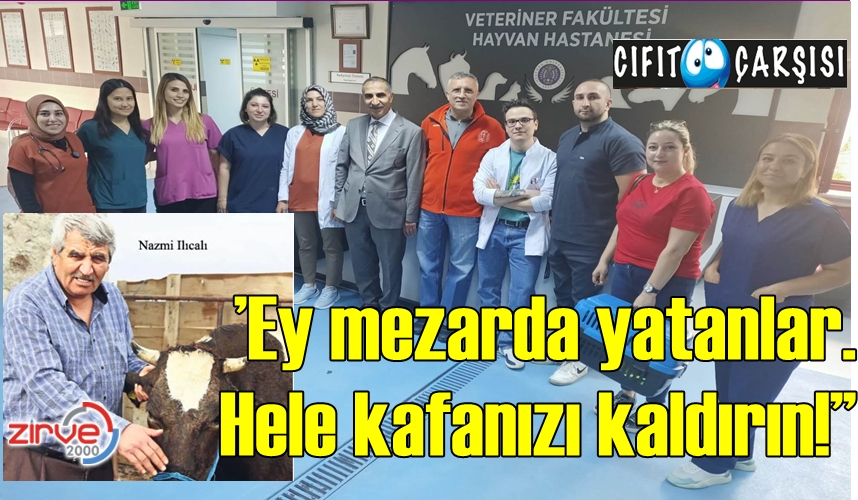 ‘’Ey mezarda yatanlar. Hele kafanızı kaldırın!’’