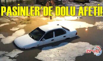 PASİNLER’İ DOLU VURDU