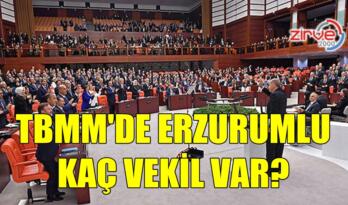 TBMM’DE ERZURUMLU KAÇ VEKİL VAR?