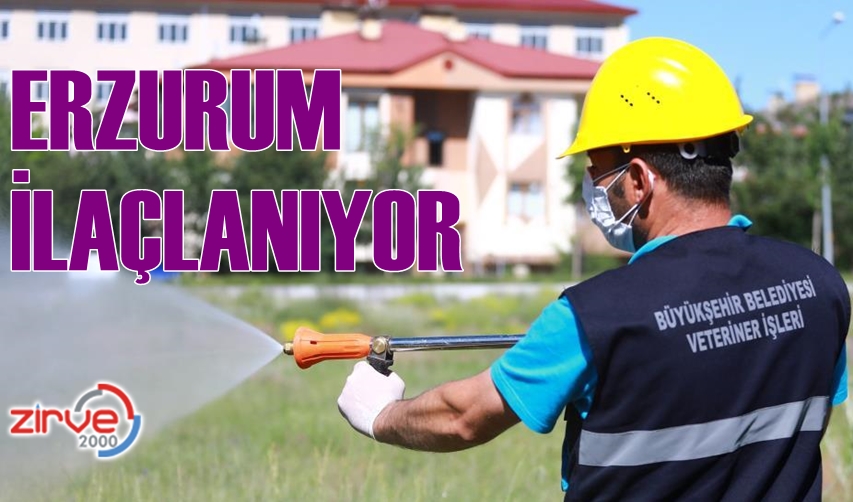 Erzurum Büyükşehir Belediyesi’nin ilaçlama çalışmaları devam ediyor.