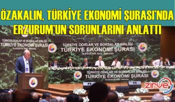 ÖZAKALIN, TÜRKİYE EKONOMİ ŞURASI’NDA ERZURUM’UN SORUNLARINI ANLATTI