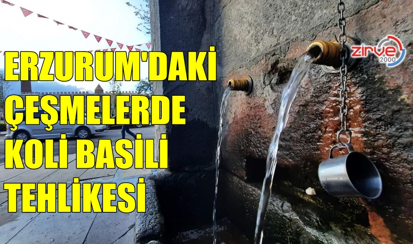ÇEŞMELERDE BÜYÜK TEHLİKE!