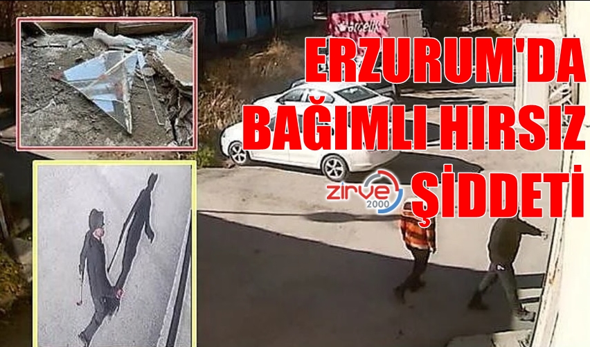 ÇEVREDEKİLERE SALDIRDI