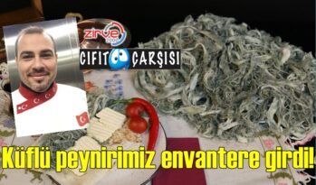 Geleneksel yollarla üretilen peynirler bir kitapta toplandı..