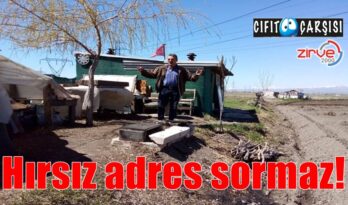 Bostan damına girdi, çay kaşığına kadar ne var ne yok çaldılar!