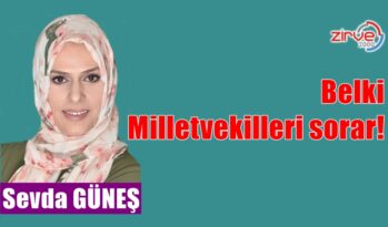 Belki Milletvekilleri sorar! 