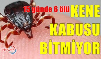 KENE KABUSU!