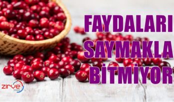 FAYDALARI SAYMAKLA BİTMİYOR