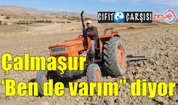 Çalmaşur ‘Ben de varım’’ diyor