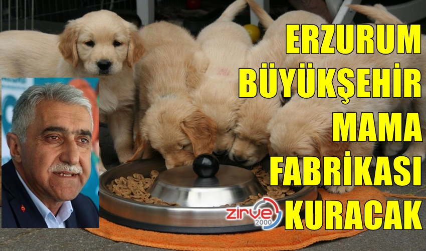 BÜÜYÜKŞEHİR MAMA FABRİKASI KURACAK