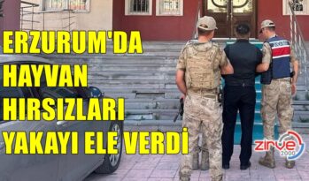 ERZURUM’DA HAYVAN HIRSIZLARI YAKALANDI