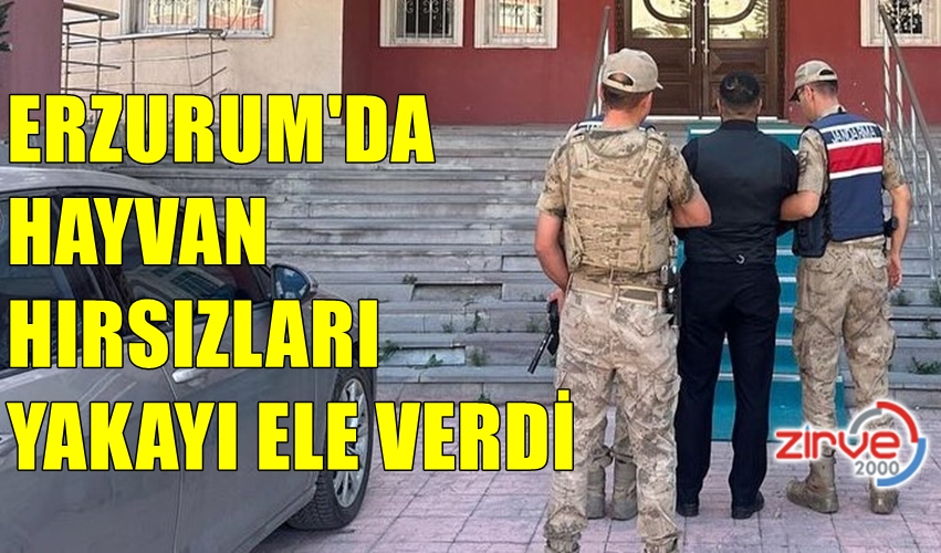 ERZURUM’DA HAYVAN HIRSIZLARI YAKALANDI