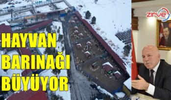 HAYVAN BARINAĞININ KAPASİTESİ BÜYÜYOR