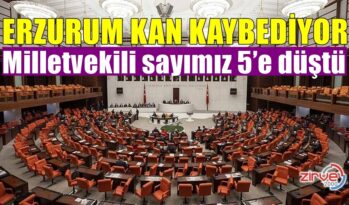 MİLLETVEKİLİ SAYIMIZ DÜŞTÜ