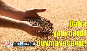 Daha yem derdi duymayacağız!