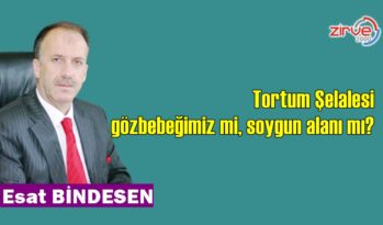 Tortum Şelalesi gözbebeğimiz mi, soygun alanı mı?