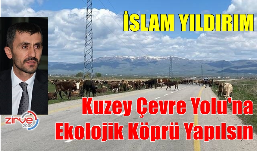 YILDIRIM:CAN VE MAL GÜVENLİĞİ YOK