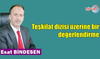 Teşkilat dizisi üzerine bir değerlendirme