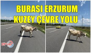 TEHLİKE GELİYORUM DİYOR